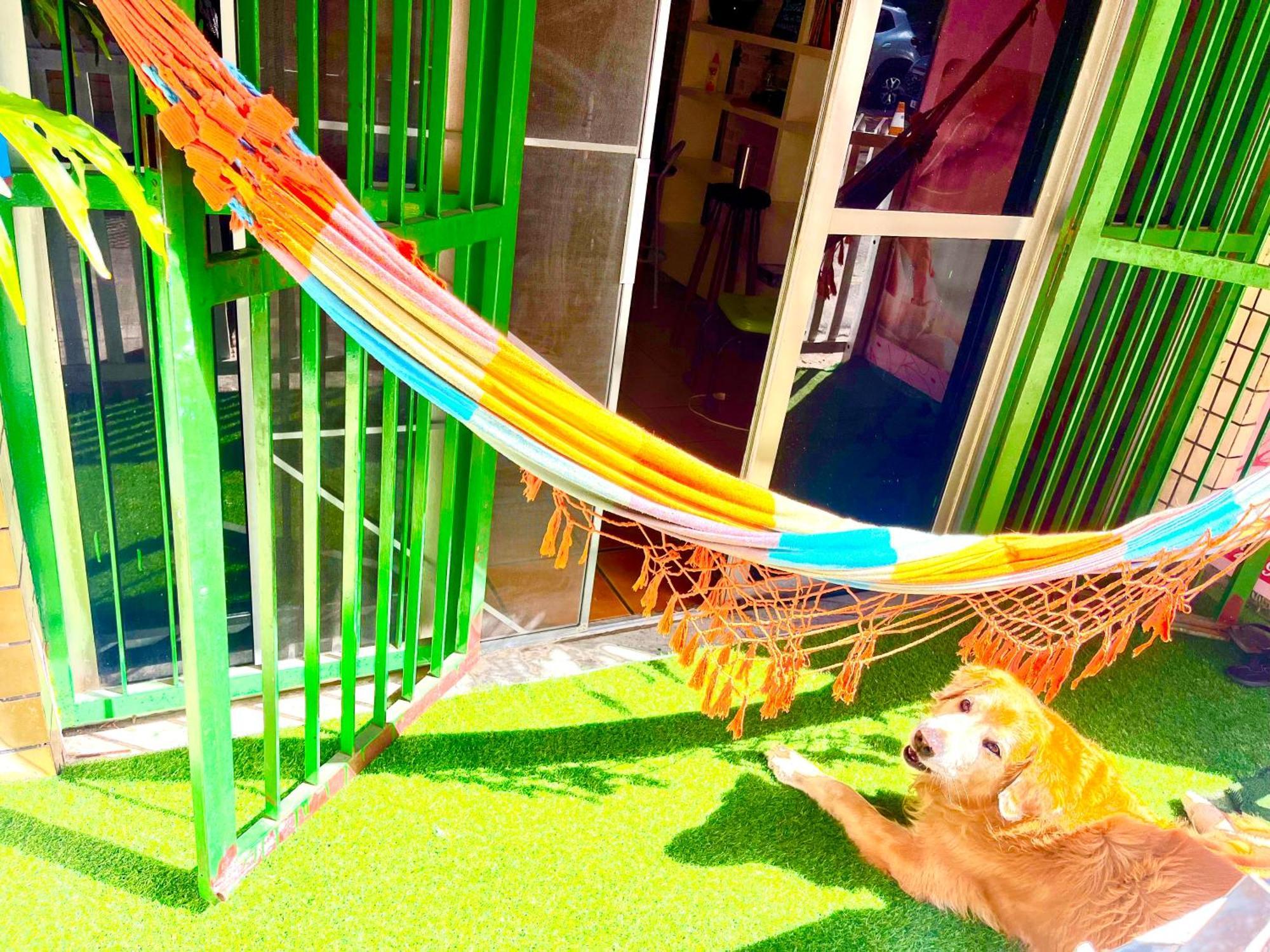 Toca Da Mona Roots Homestay